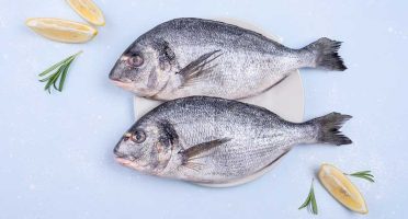 banner-800x533px-pescados