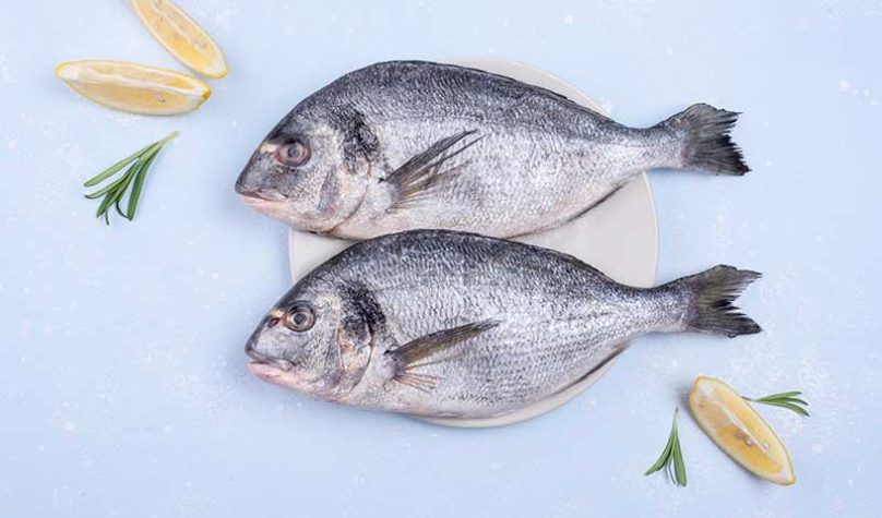 banner-800x533px-pescados