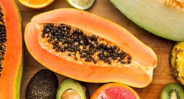 banner-800x533px-polpa