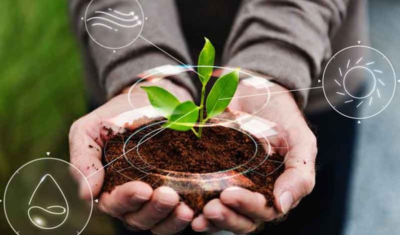 banner-800x533px-sustentabilidade