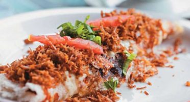 banner-800x533px-tapioca-1