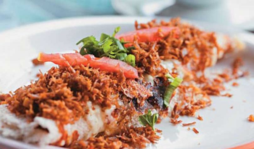 banner-800x533px-tapioca-1