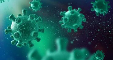 banner-800x533px-variante