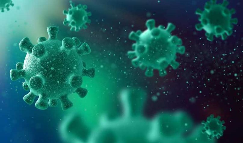 banner-800x533px-variante