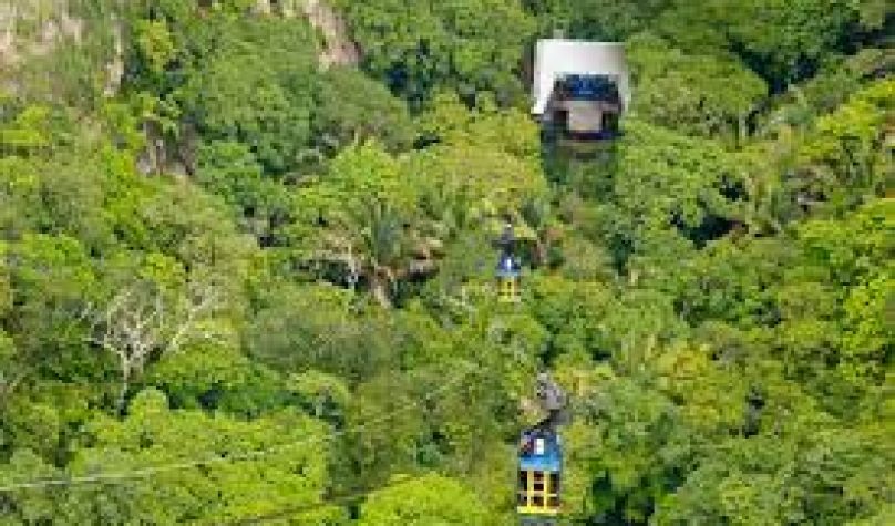 Foto: Tatiana Fortes/Ascom Casa Civil