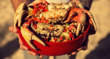 Foto: Restaurante da Praia/Tripadvisor