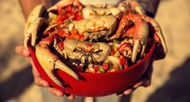 A proposta é dar visibilidade aos restaurantes, hotéis, barracas e chefs da região. Foto: TripAdvisor/Restaurante da Praia.