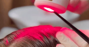 CASA-LINDA-FLOR---MATERIA-24