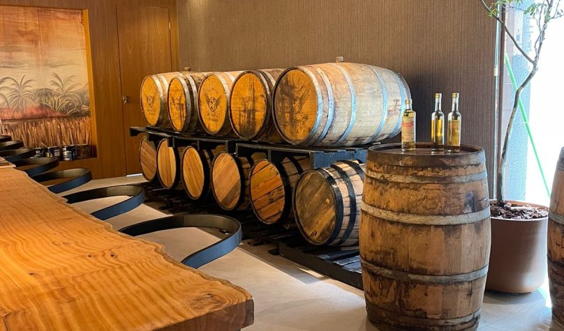 Reprodução/Site/Agencia SebraeCE