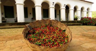 Foto: Reprodução/Sebrae