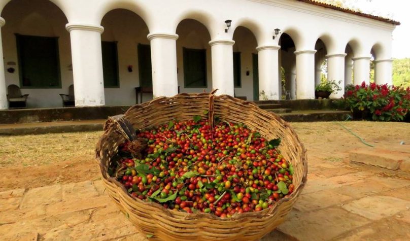Foto: Reprodução/Sebrae
