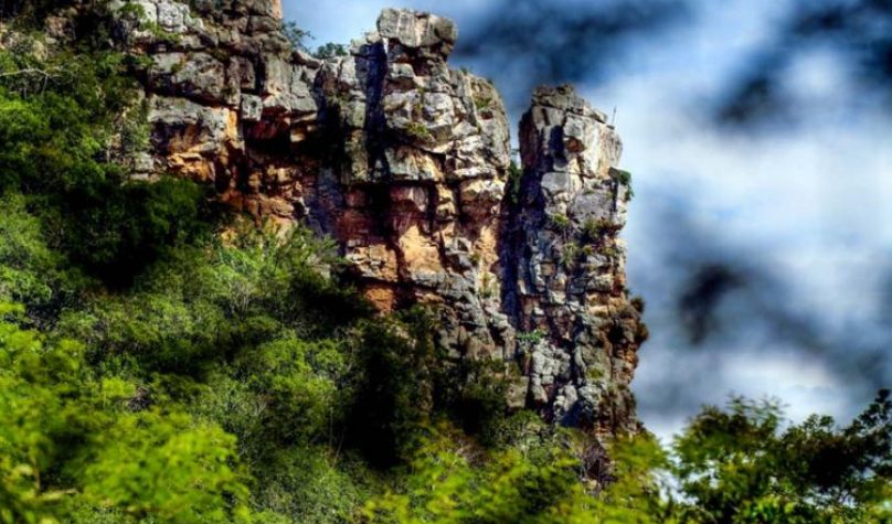 Foto: Reprodução/Site Sesc CE