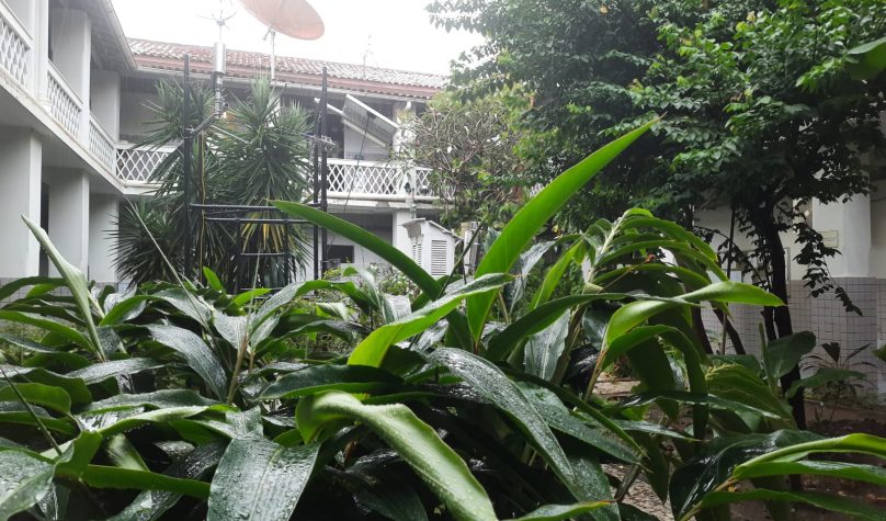 Na Capital, o recorde é de 51 dias consecutivos de chuva, que aconteceu em 2003. Foto: Reprodução/Funceme