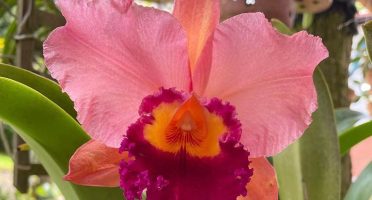 Foto: Reprodução/Instagram