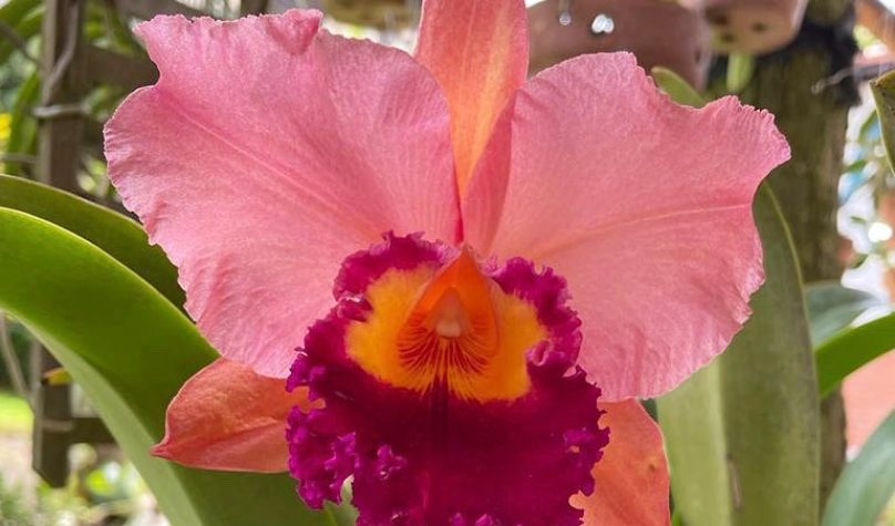 Foto: Reprodução/Instagram