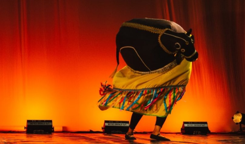 Dragão do mar800x533