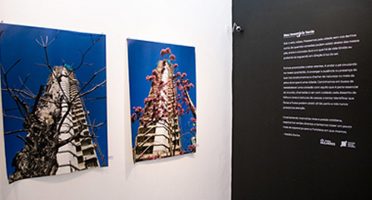 Foto: Gutiérrez Régis/UFC