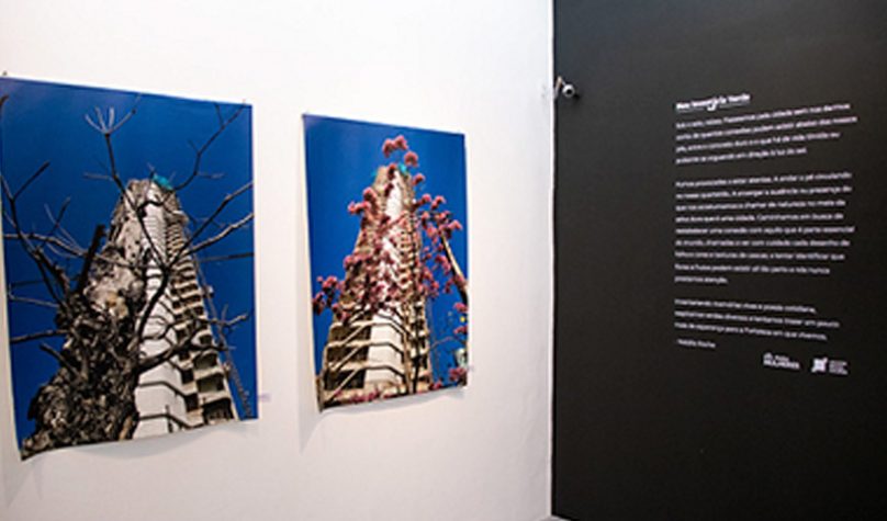 Foto: Gutiérrez Régis/UFC