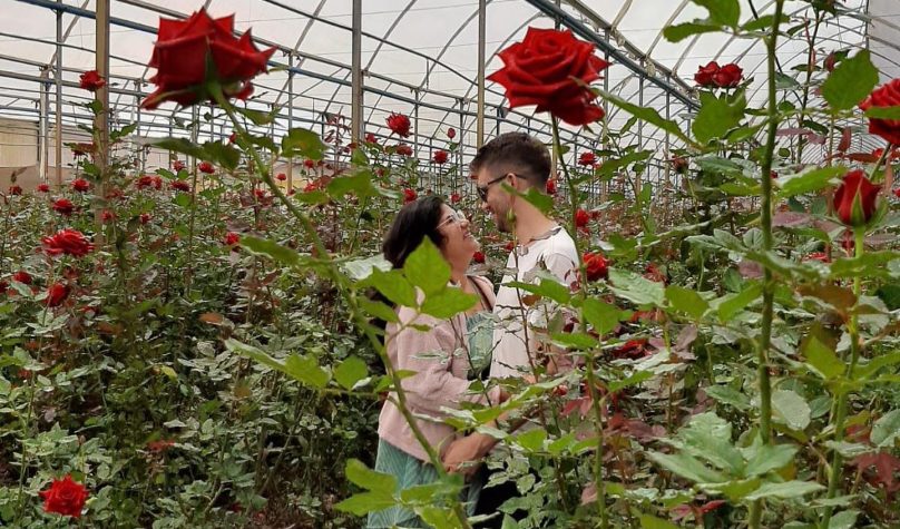 A primavera se inicia no Brasil e presenteia turistas com belas e coloridas paisagens. Fotos: Reprodução/Facebook/Fazenda Santo Expedito.
