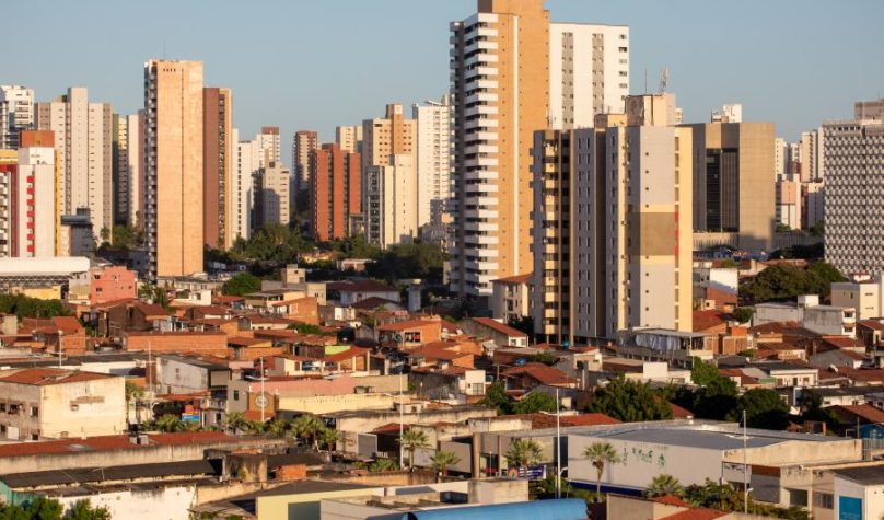 Foto: Vitor Paladini/Unsplash