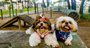 Foto: Prefeitura de Fortaleza