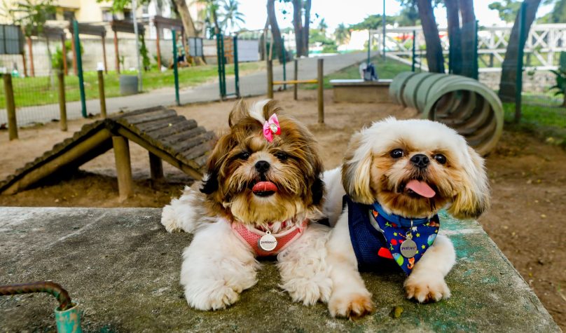 Foto: Prefeitura de Fortaleza