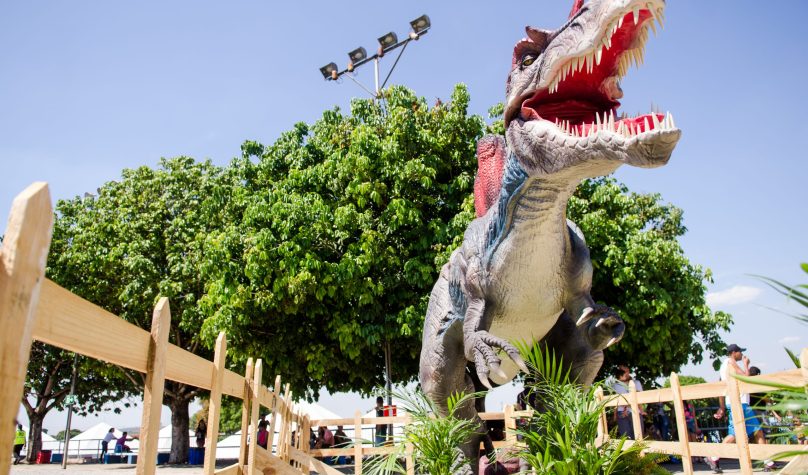 foto: Felipe Costa/ www.facebook.com/brunosoaresfotografias