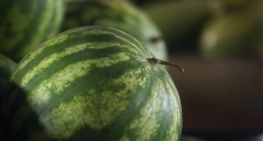 O Ceará é o 2º maior exportador brasileiro de melões e melancias. Foto: Thiara Montefusco/SDA