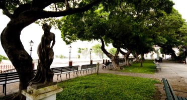 Foto: Reprodução/Mata Cultural do Ceará