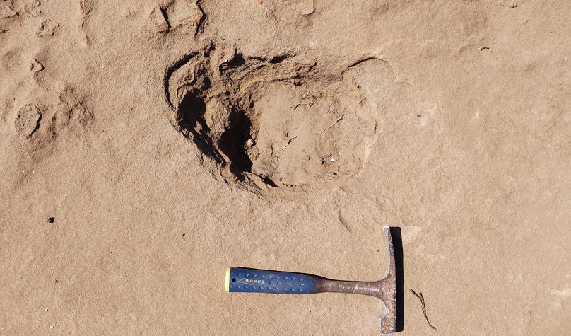 Sítio paleontológico foi revelado durante processo para construção de linha de transmissão. Foto: Ibama.