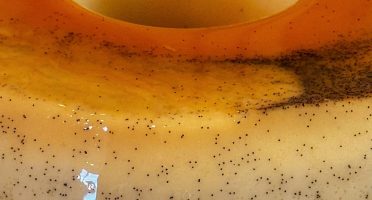 Foto: Arquivo Anna Paula Rezendes