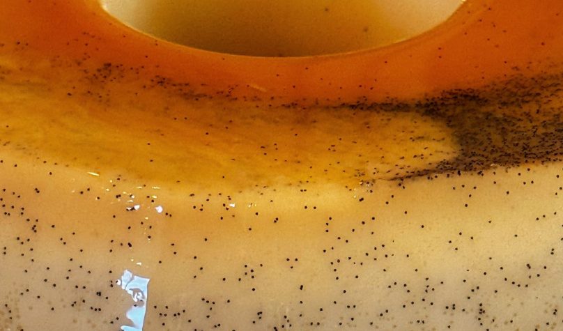 Foto: Arquivo Anna Paula Rezendes