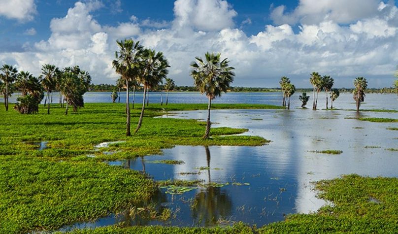 A lagoa é considerada o maior espelho d’água da Região Metropolitana de Fortaleza. Foto: Divulgação.
