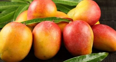 Foto: Reprodução/Portal de Notícias Juazeiro Petrolina