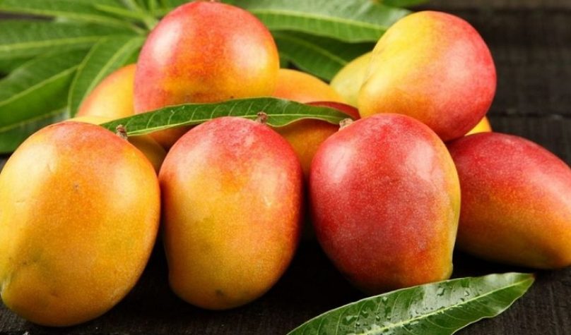 Foto: Reprodução/Portal de Notícias Juazeiro Petrolina