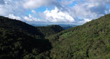 No Ceará, 21 das 34 Unidades de Conservação estaduais apresentam trechos de Mata Atlântica, como é o caso da APA de Baturité. Foto: Divulgação/Ascom Sema.