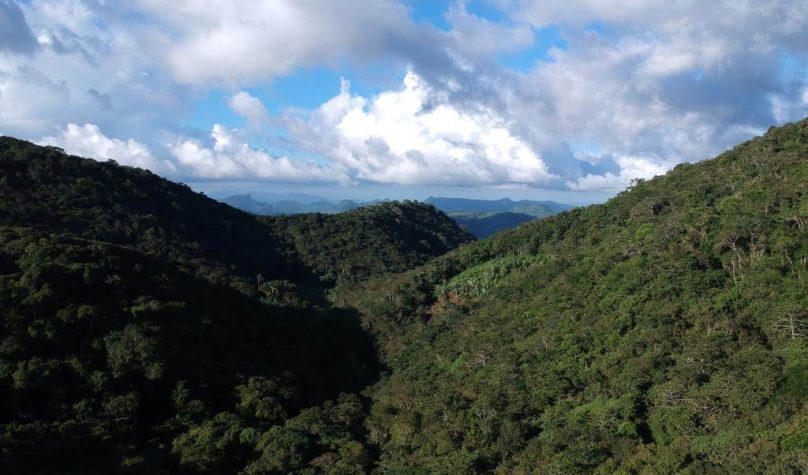 No Ceará, 21 das 34 Unidades de Conservação estaduais apresentam trechos de Mata Atlântica, como é o caso da APA de Baturité. Foto: Divulgação/Ascom Sema.