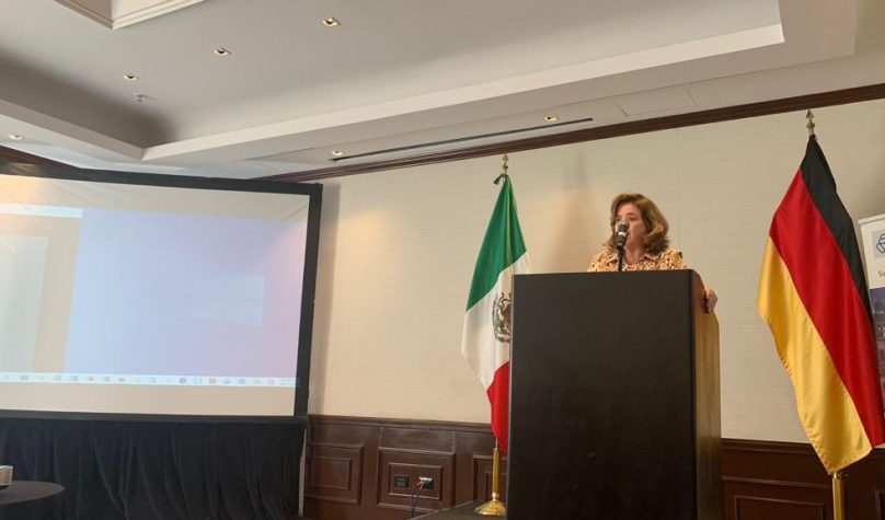 A secretária executiva da Indústria da Sedet, Roseane Medeiros, participou de painel no workshop. Fotos: Ascom Sedet.