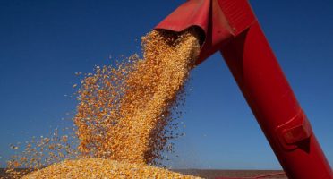 Foto: Reprodução/Internet