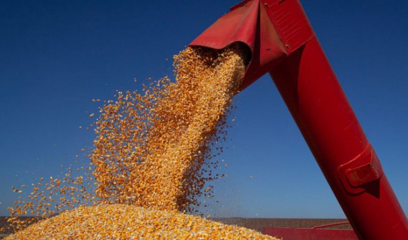 Foto: Reprodução/Internet