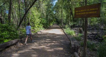 Foto: Reprodução/site / sema