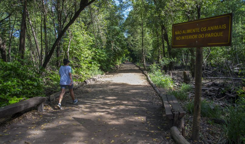 Foto: Reprodução/site / sema
