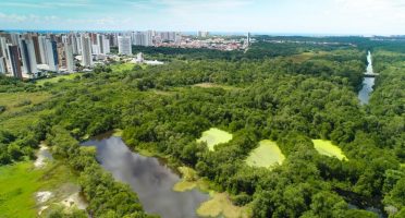 Foto: Reprodução/Nilton Alves