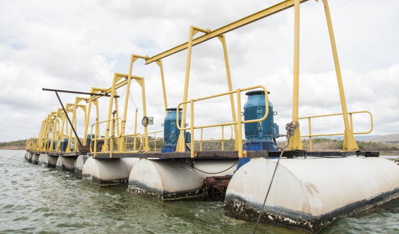 Foto: Reprodução/Cogerh