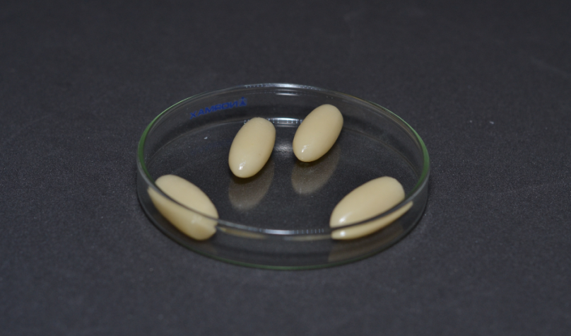 Composto inovador já é a 30ª patente da Universidade Federal do Ceará. Foto: Divulgação/Agência UFC.