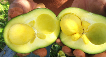 Foto: Jean Marconi/Flickr