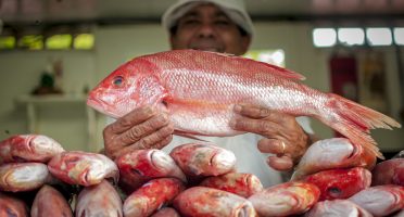 A 2ª edição do Ceará Agro Roadshow acontecerá durante o Seafood Expo, em Barcelona. Foto: Ariel Gomes/Gov do Ceará.