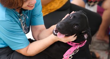 Mais de 50 locais da capital compõem a lista de estabelecimentos com o selo Pet Friendly (Foto: Thiago Gaspar)