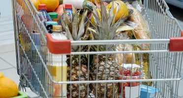 Foto: Reprodução/Site/Pexels