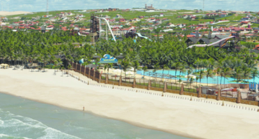 Foto: Reprodução/Junglekey